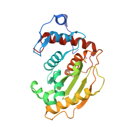 ULP1（Ubiquitin-Like Protease 1）